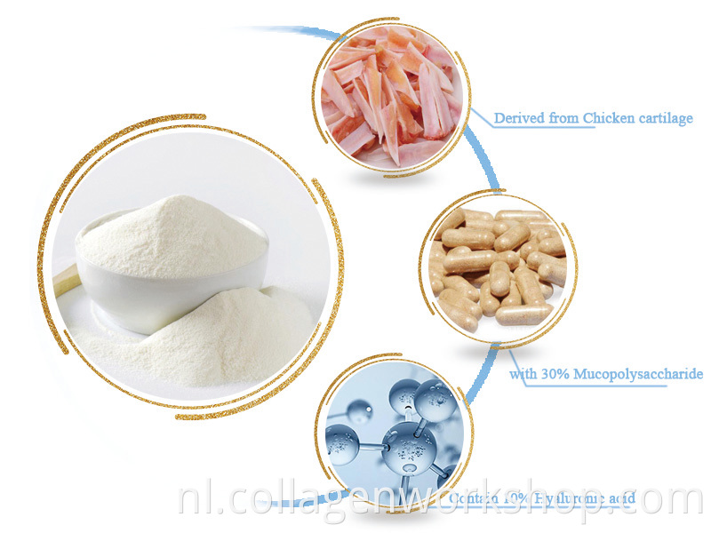 China Chicken Cartilage Type 2 Manufacuturer